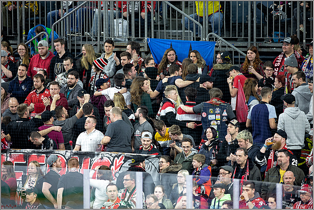 DEL;  Koelner Haie - Straubing Tigers; Koeln, 01.03.2020